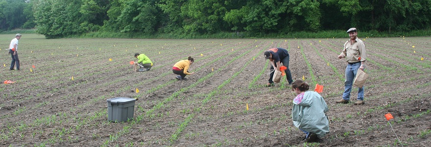 Surface picking